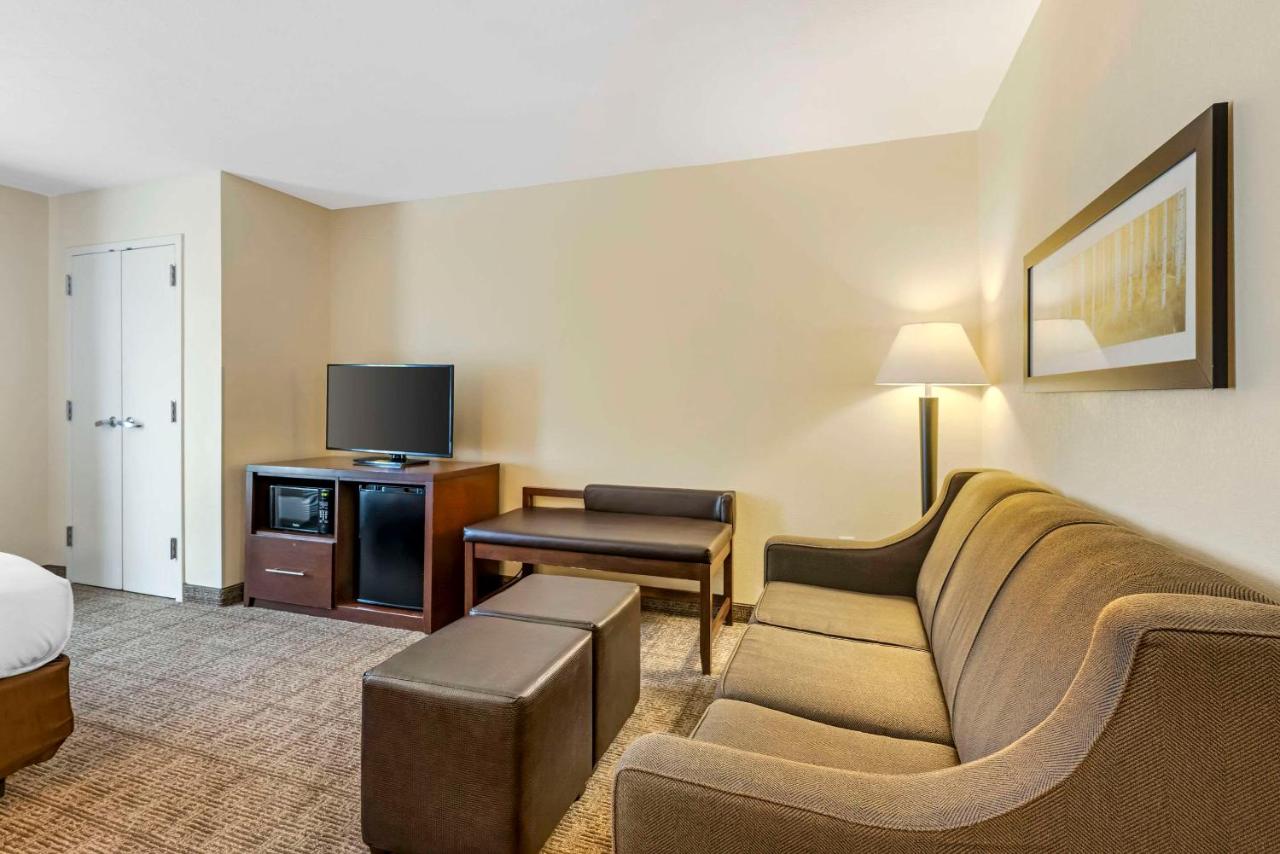 King Suite with Sofa Bed - Non-Smoking at Comfort Suites East Lincoln - Mall Area