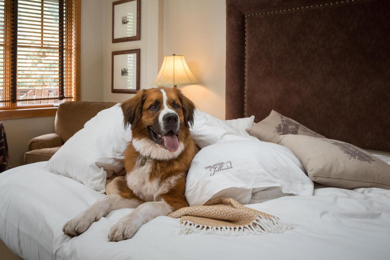 Signature King at The Hotel Telluride