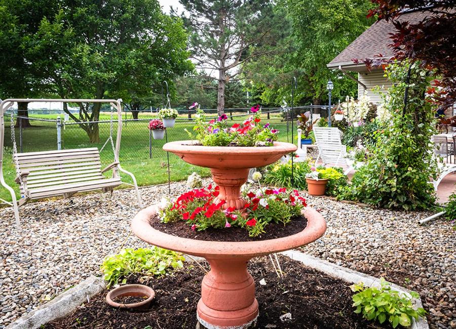 | Scottish Bed & Breakfast