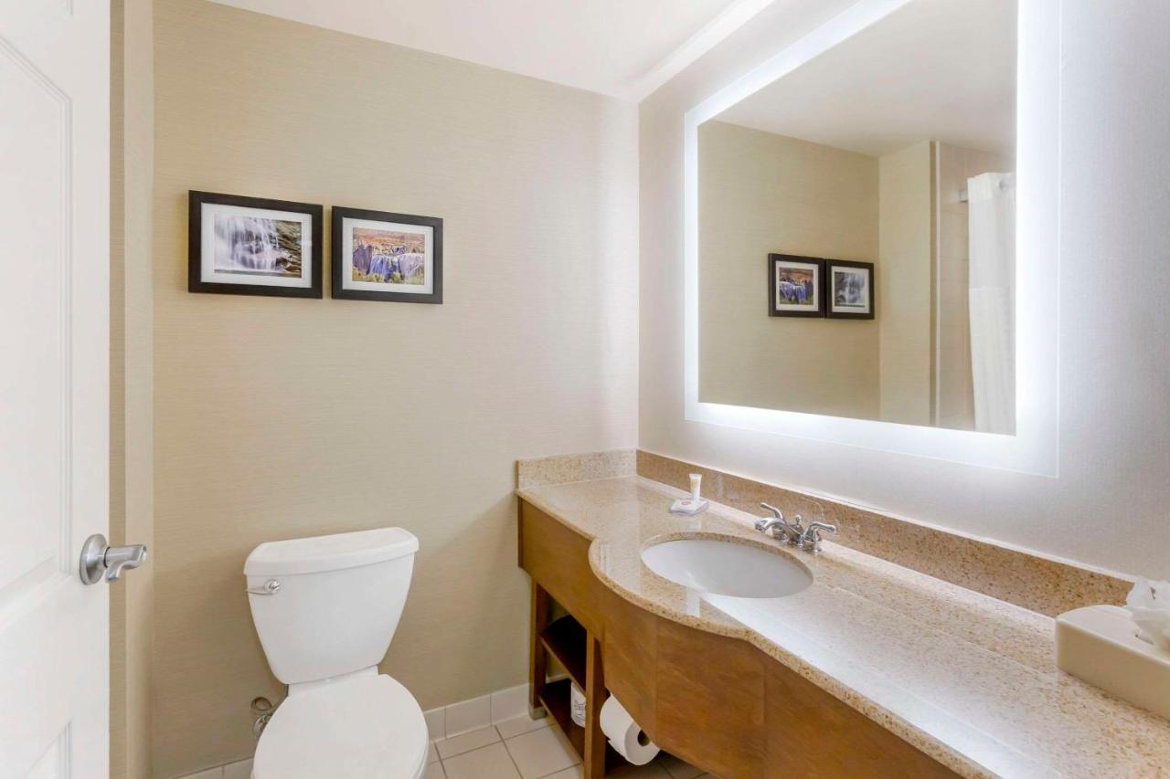 King Room - Non-Smoking at Comfort Inn & Suites Jerome - Twin Falls