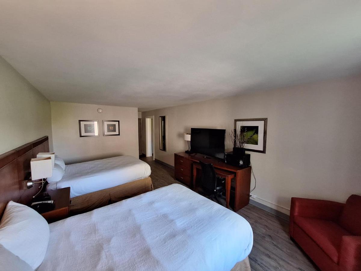 The Hotel Orange