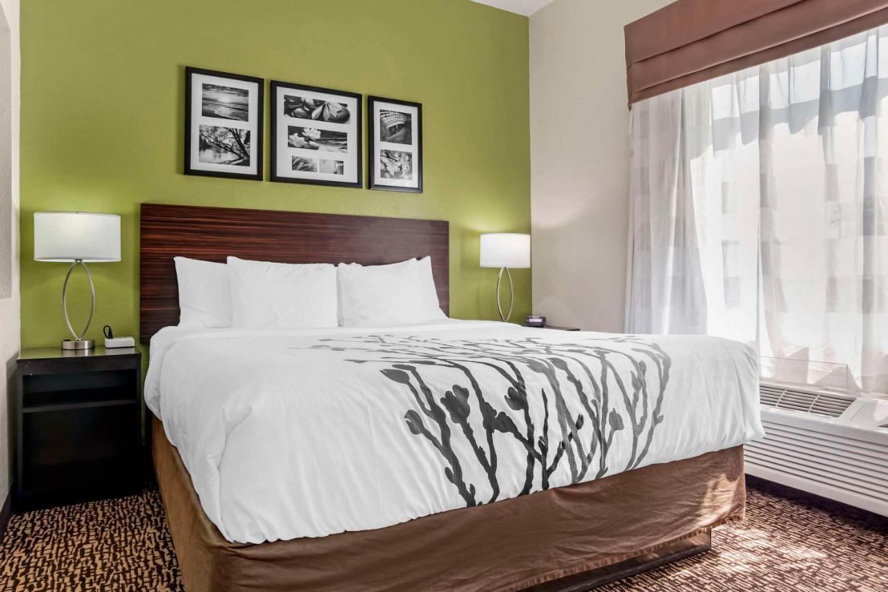 King Room - Non-Smoking at Sleep Inn & Suites Montgomery East I-85