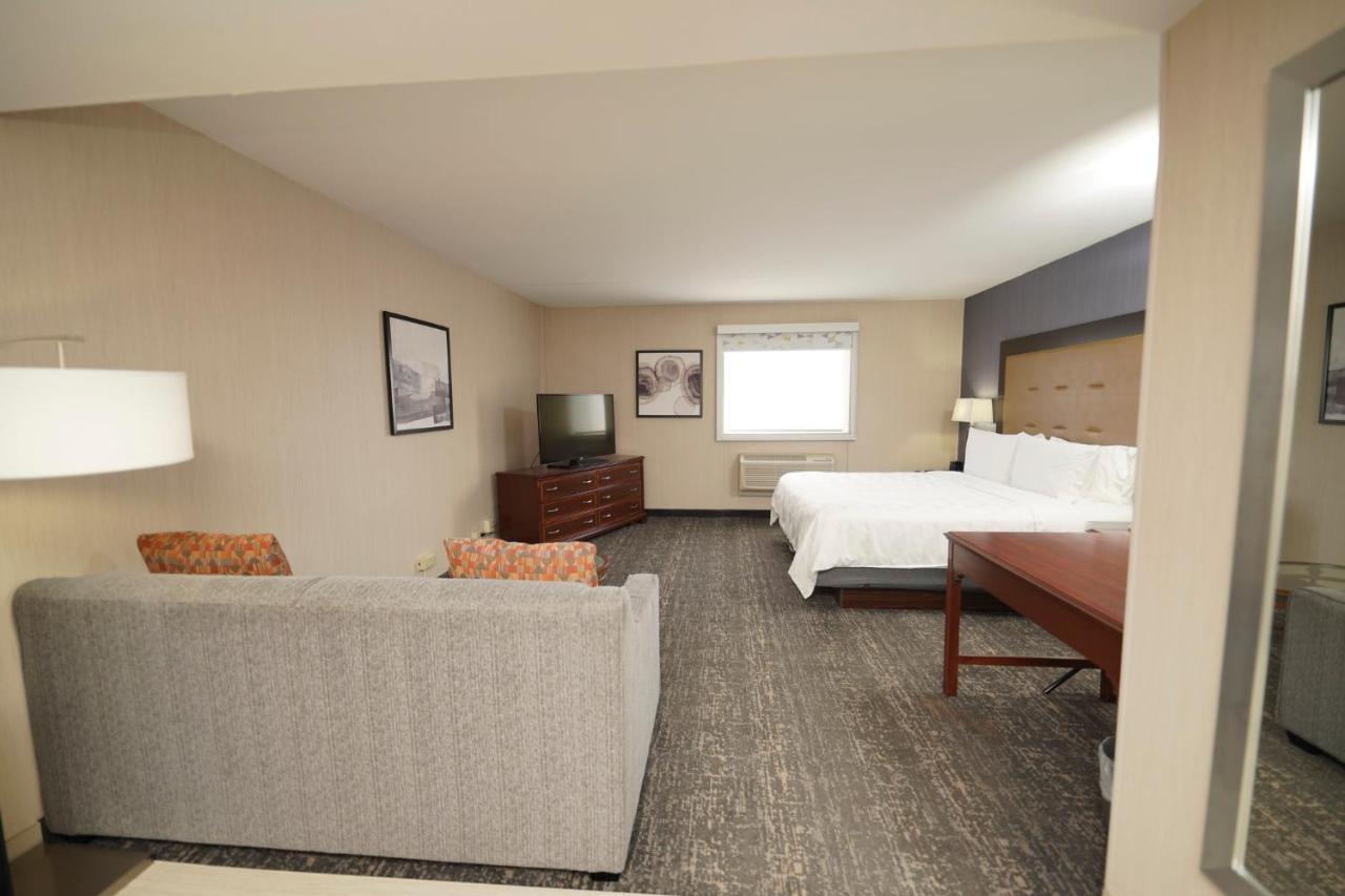 Deluxe King Room - Non-Smoking at Holiday Inn & Suites Chicago-Carol Stream (Wheaton)
