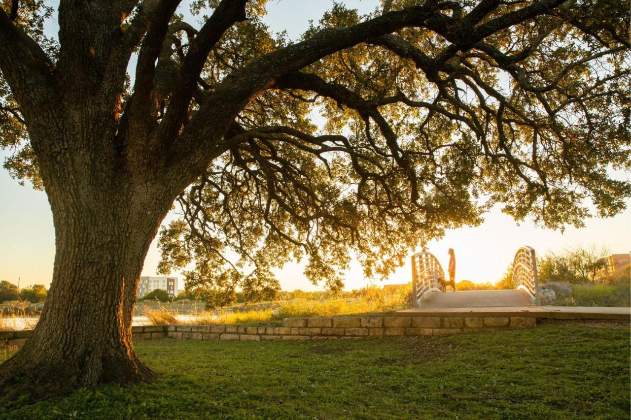 | SpringHill Suites by Marriott Austin Cedar Park