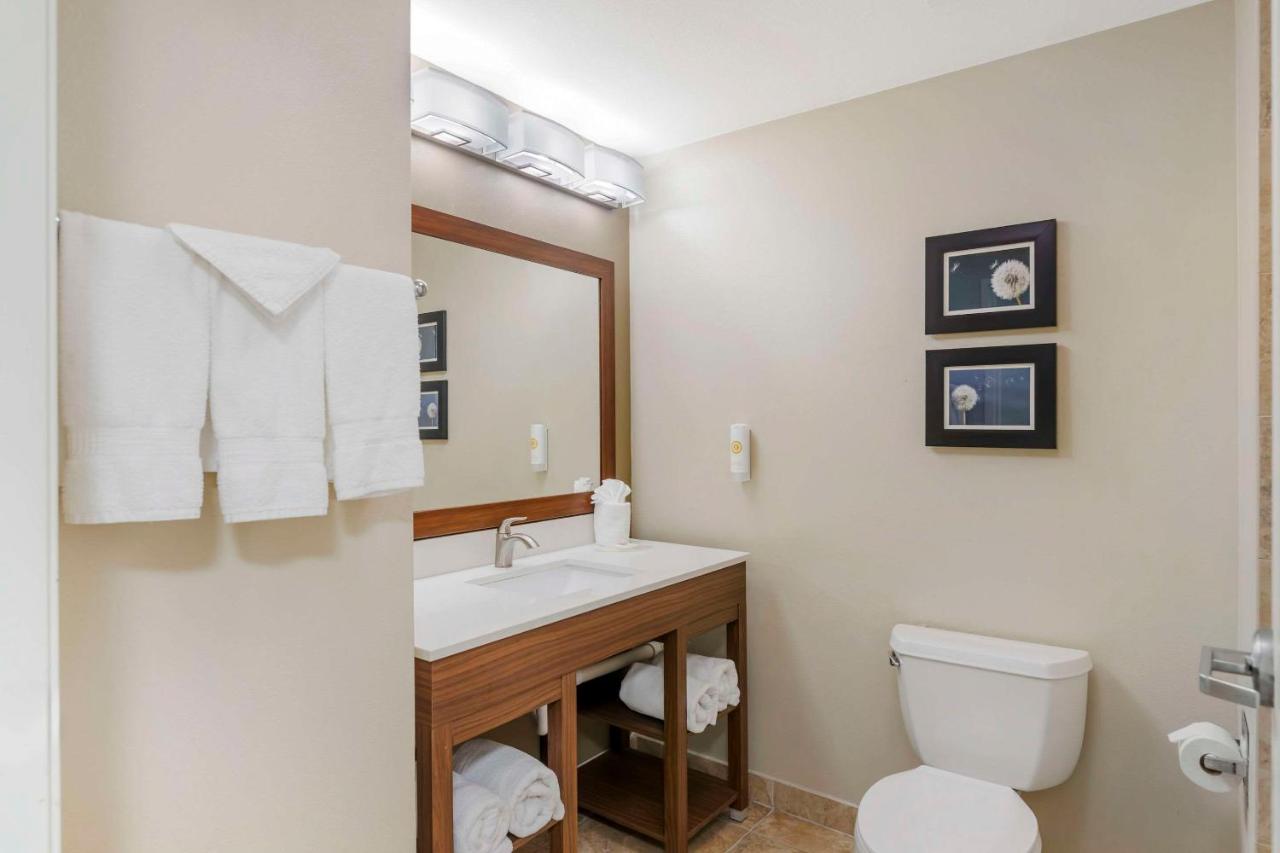 King Room - Non-Smoking at Comfort Inn & Suites Tifton
