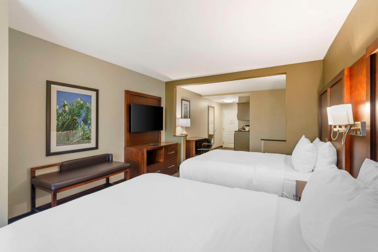 Queen Suite - Non-Smoking at Comfort Inn & Suites Tifton