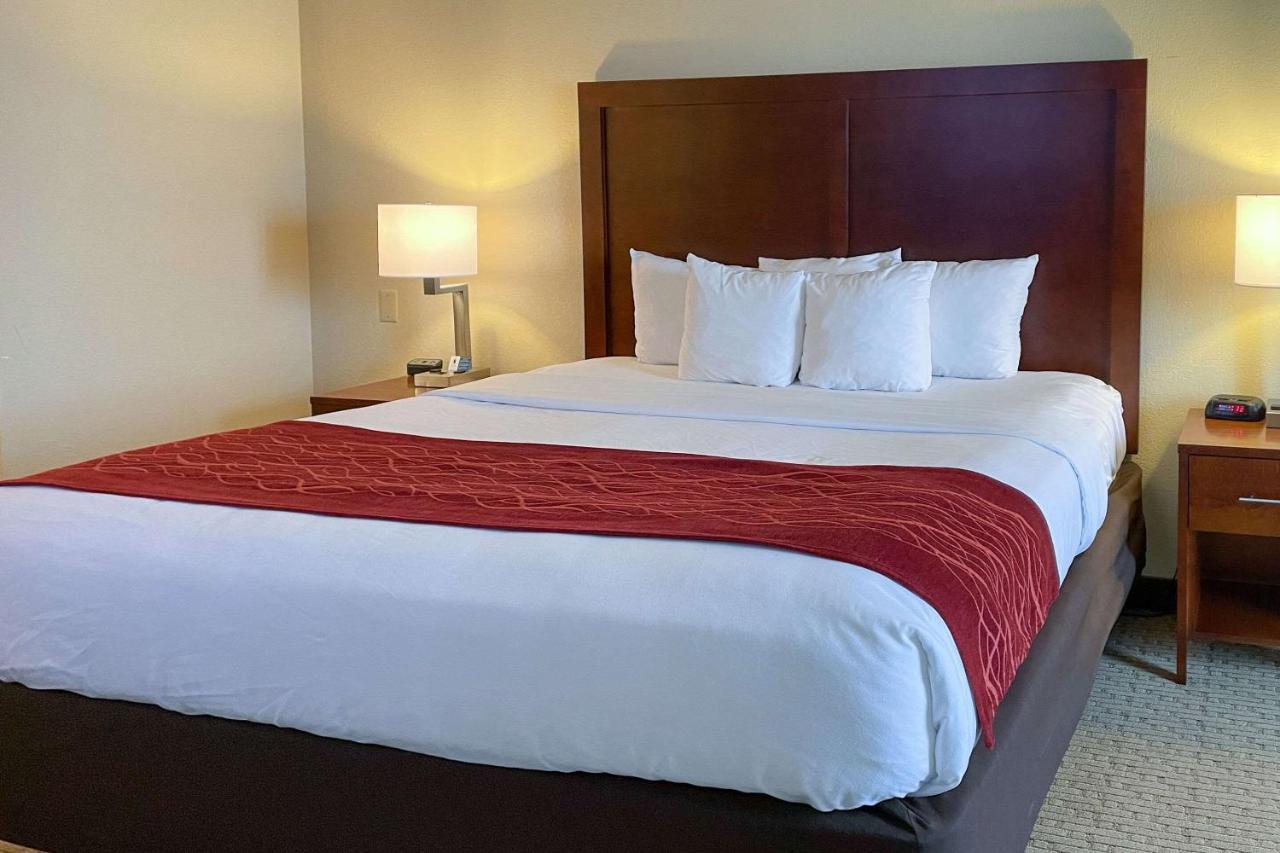 | Comfort Inn & Suites Rogersville