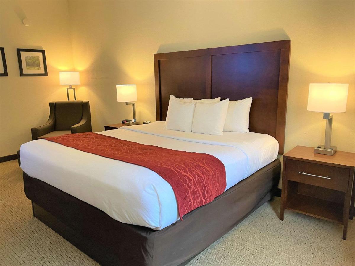 | Comfort Inn & Suites Rogersville