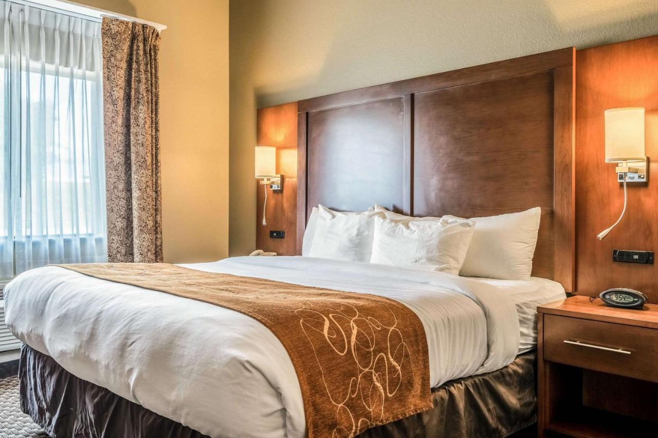  | Comfort Suites San Marcos