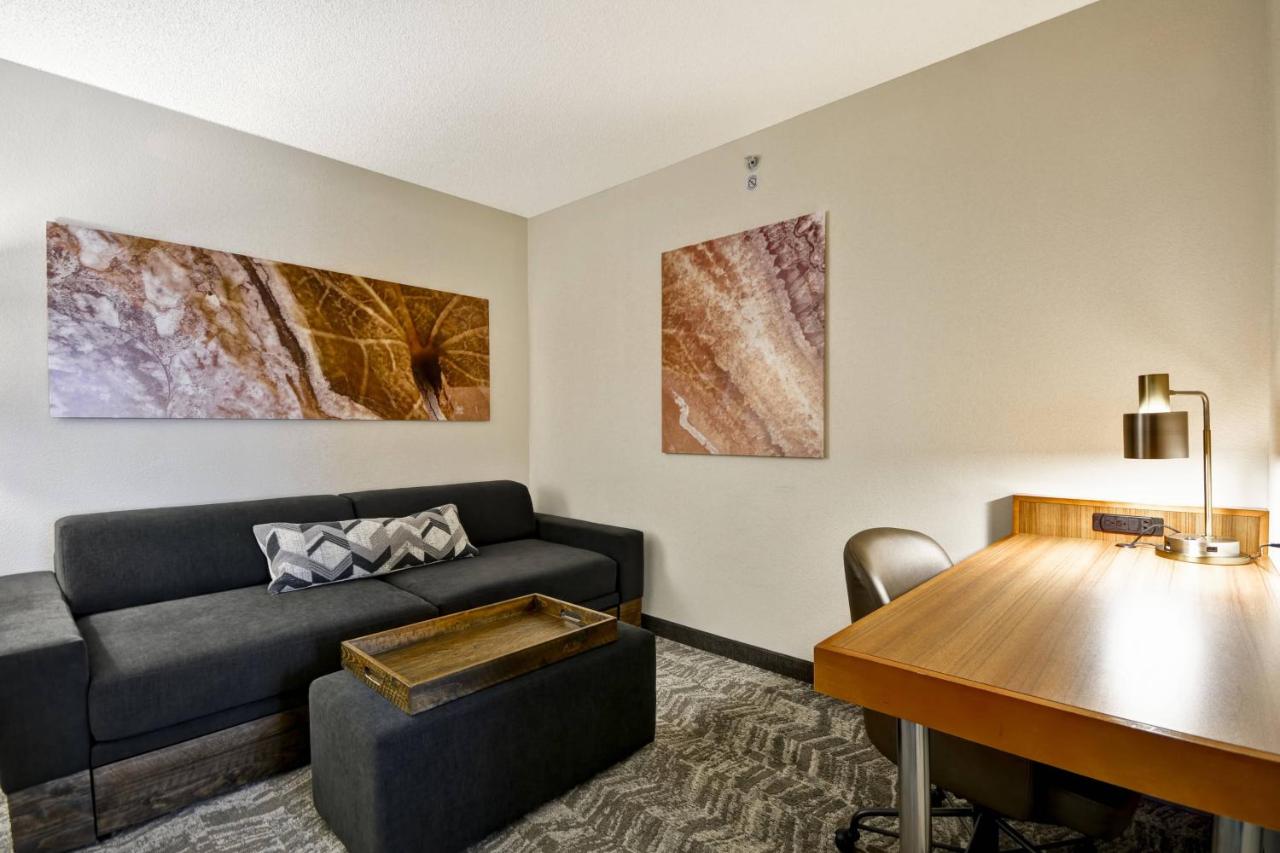 King Suite with Sofa Bed at SpringHill Suites by Marriott Lexington Near the University of Kentucky