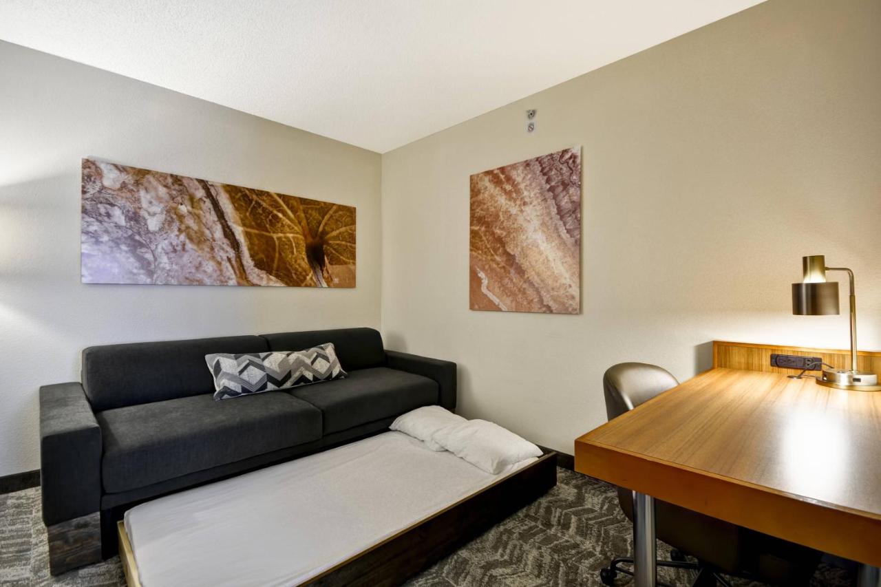 King Suite with Sofa Bed at SpringHill Suites by Marriott Lexington Near the University of Kentucky