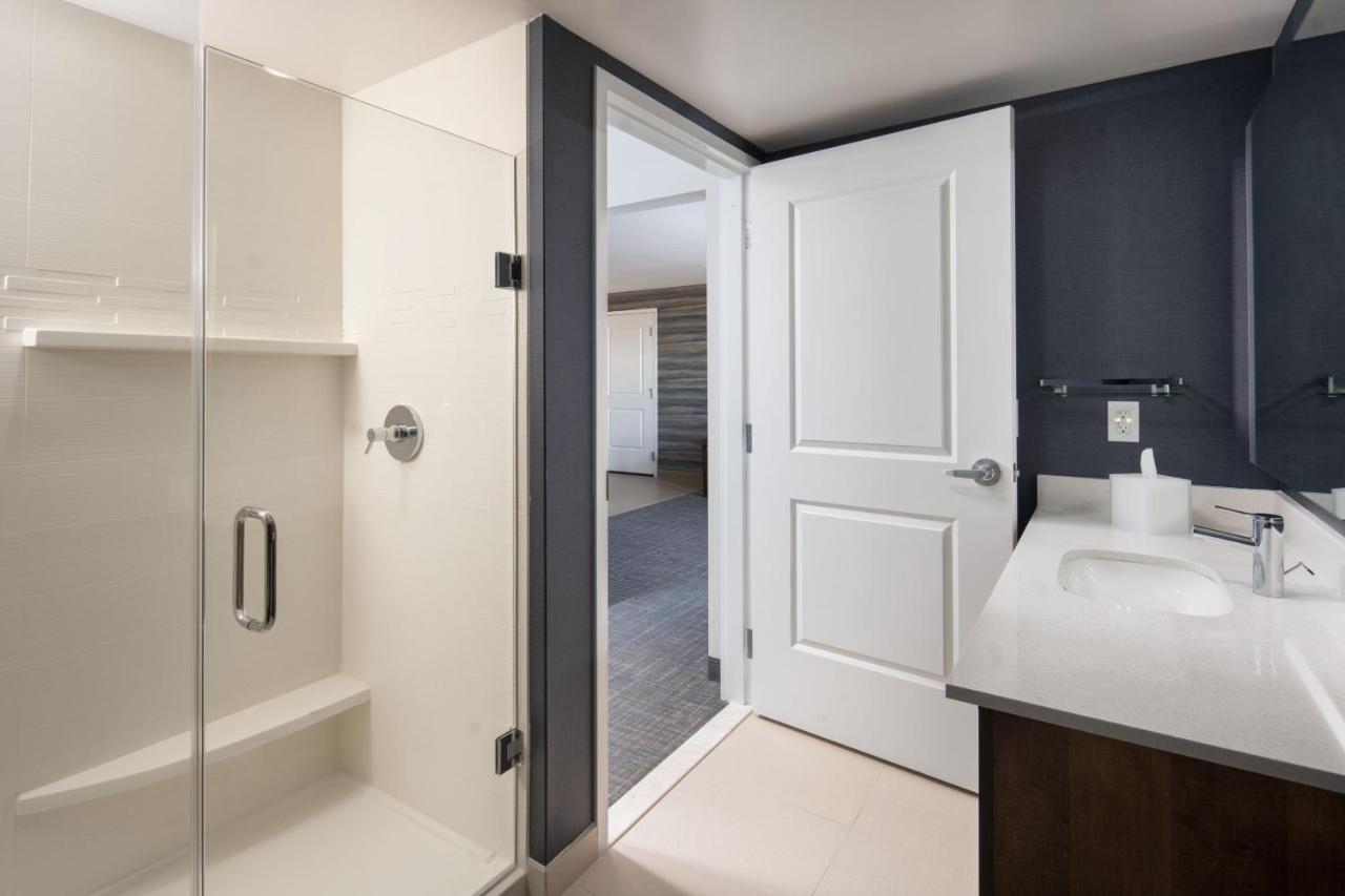 One-Bedroom King Suite with Sofa Bed at Residence Inn by Marriott Tampa Wesley Chapel