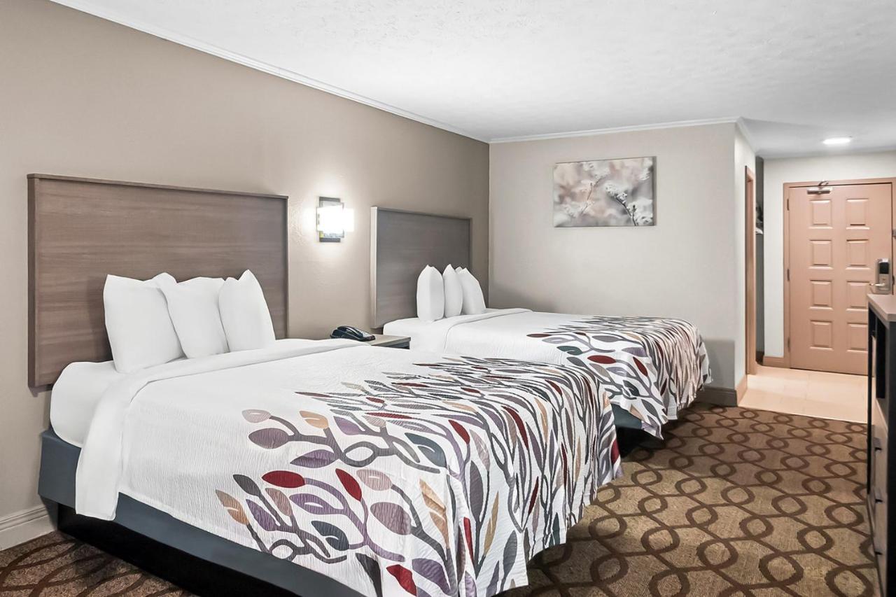 | Red Roof Inn Lexington - Hamburg