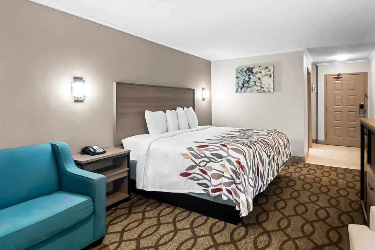 | Red Roof Inn Lexington - Hamburg