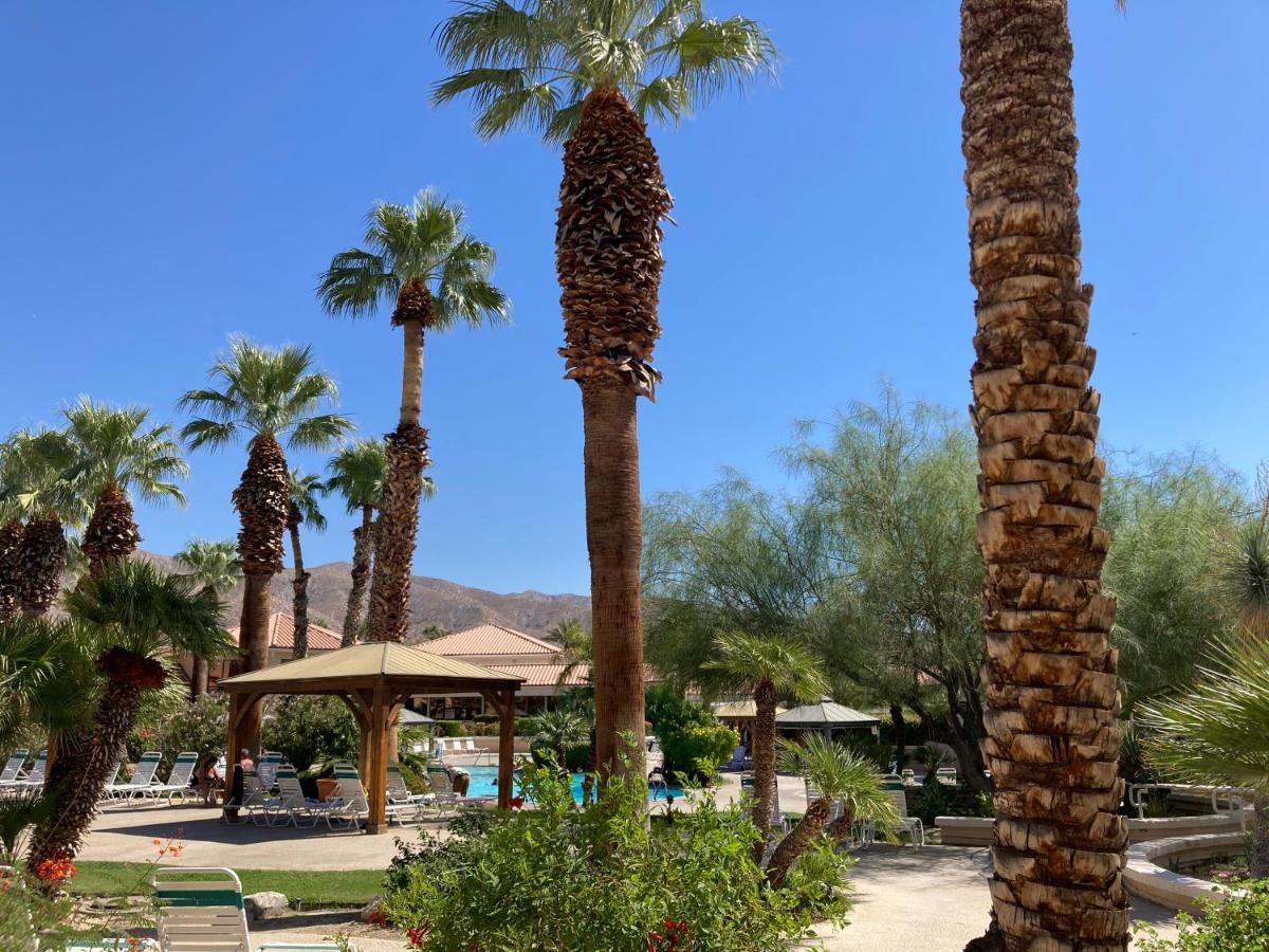 Queen Queen Poolside at Miracle Springs Resort & Spa