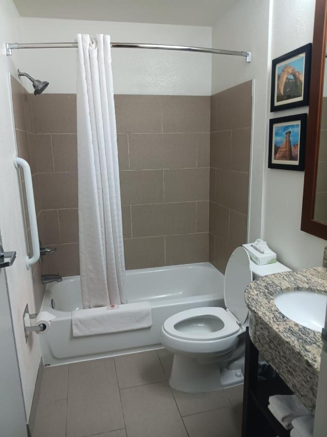 Standard Queen Room - Non-Smoking at Comfort Inn & Suites Aztec - Farmington Area