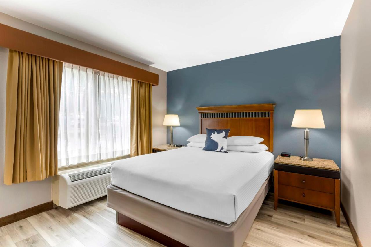 Queen Room - Disablity Access at Best Western Denver Southwest