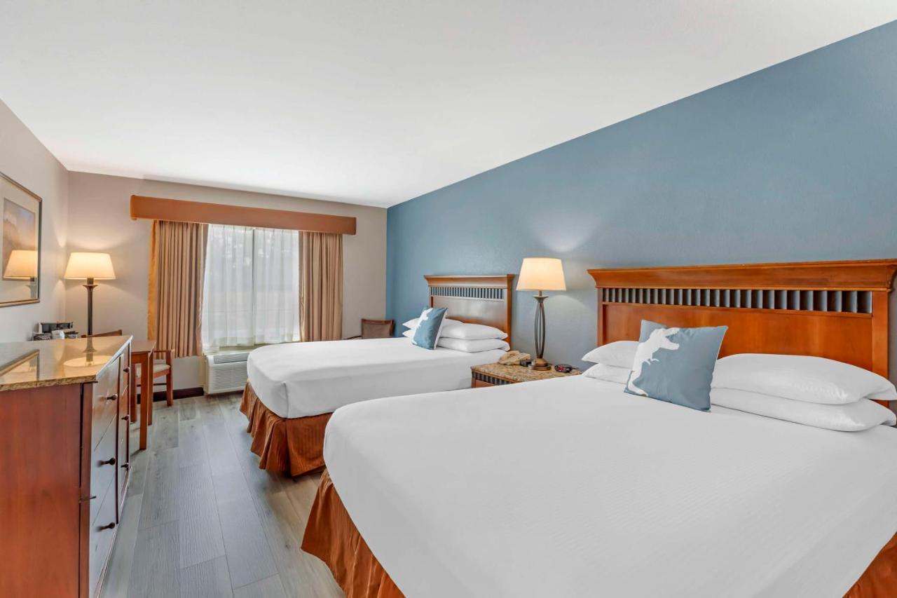 Queen Room with Two Queen Beds at Best Western Denver Southwest