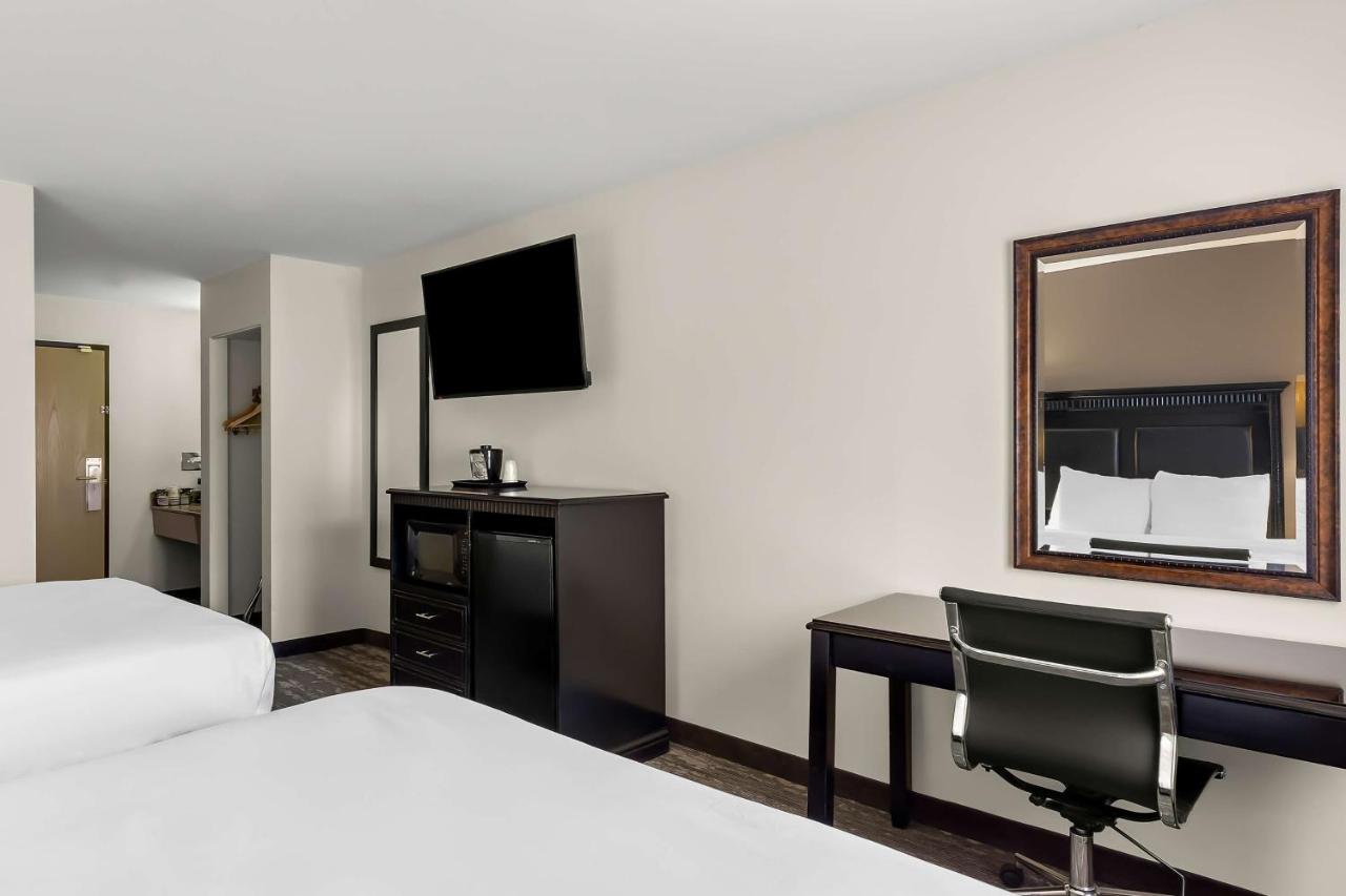 | Best Western Saluki Inn
