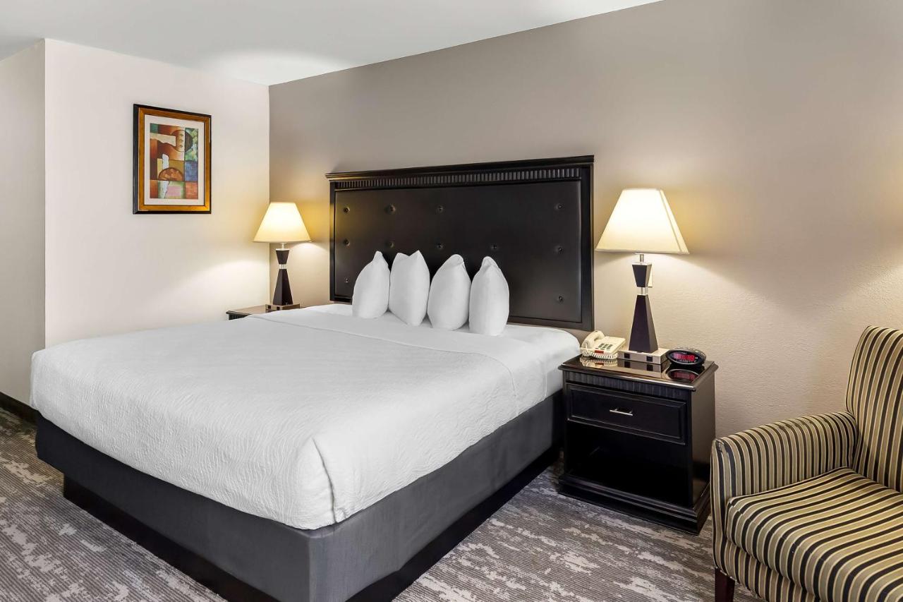 | Best Western Saluki Inn