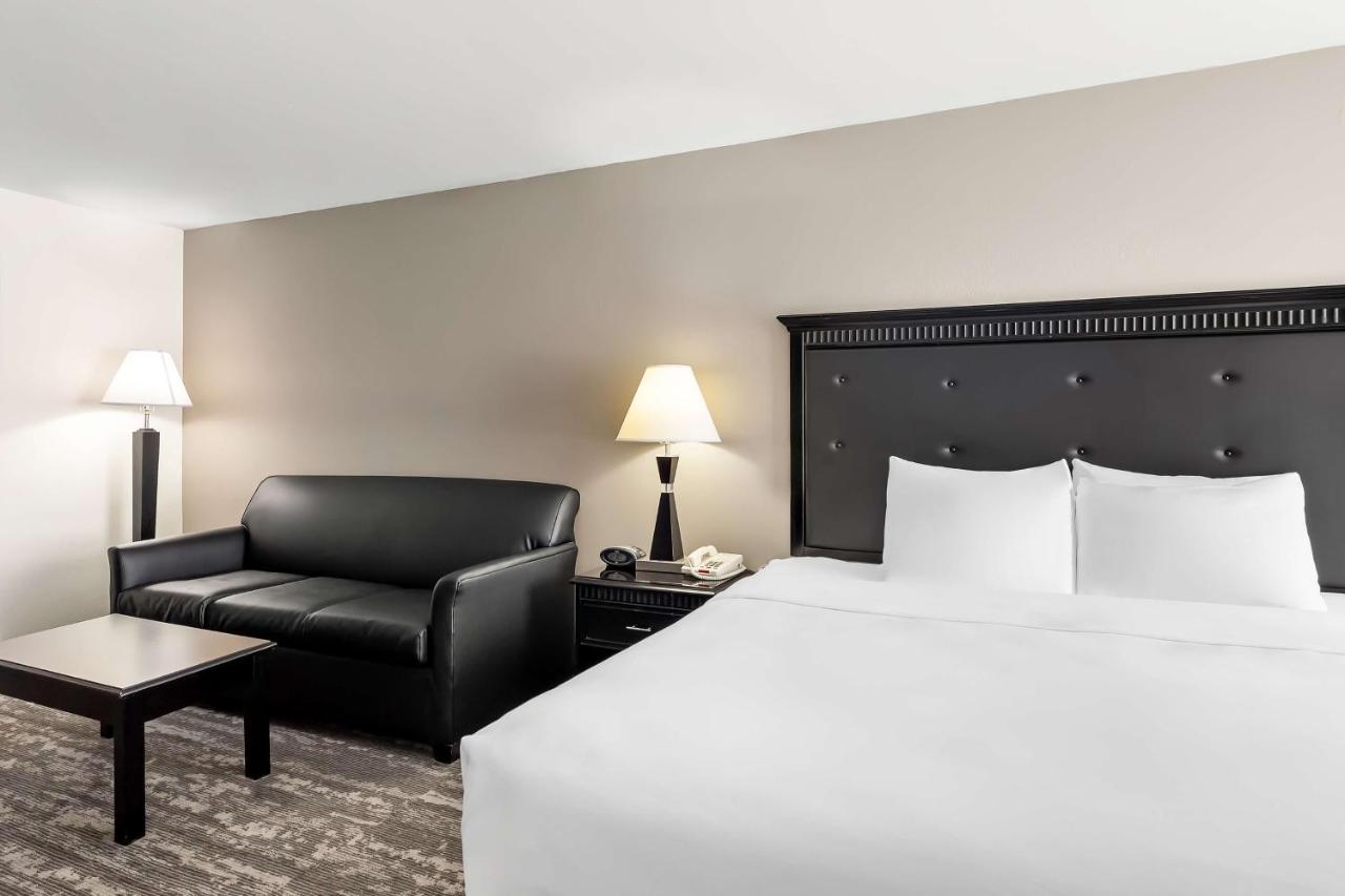 | Best Western Saluki Inn
