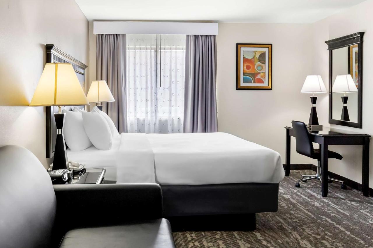 King Room with Sofabed - Non-Smoking at Best Western Saluki Inn