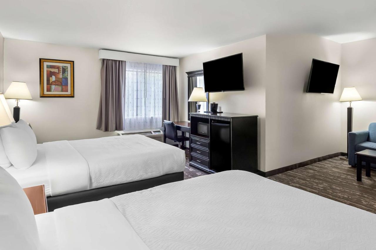 | Best Western Saluki Inn
