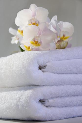  | Tides Inn Hotel