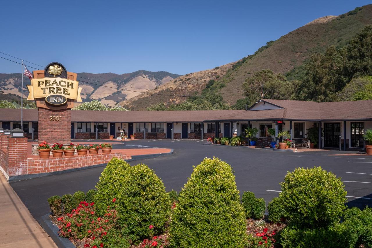  | Peach Tree Inn