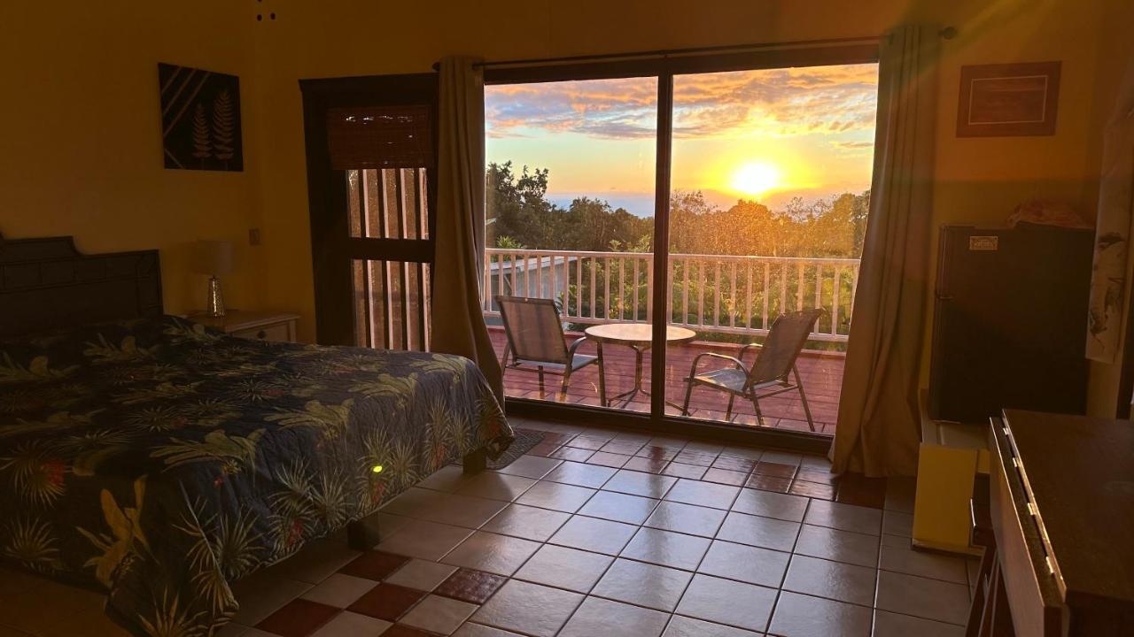  | Coffee Garden BnB