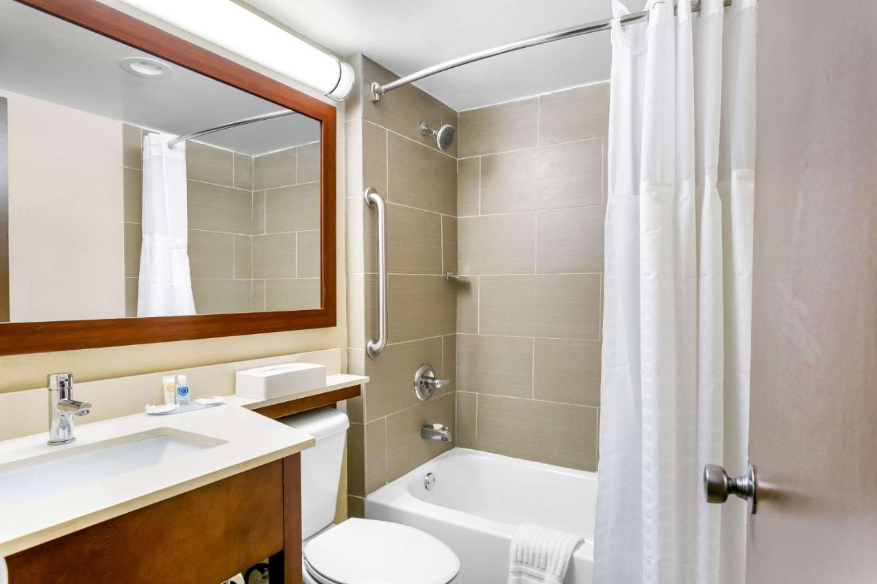King Room - Non-Smoking at Comfort Inn Red Horse Frederick