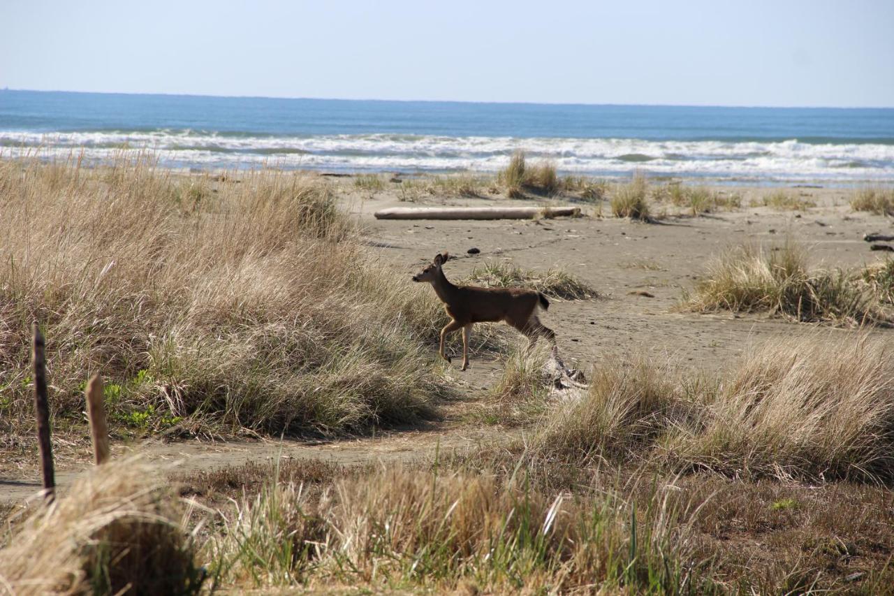  | Quinault Beach Resort & Casino