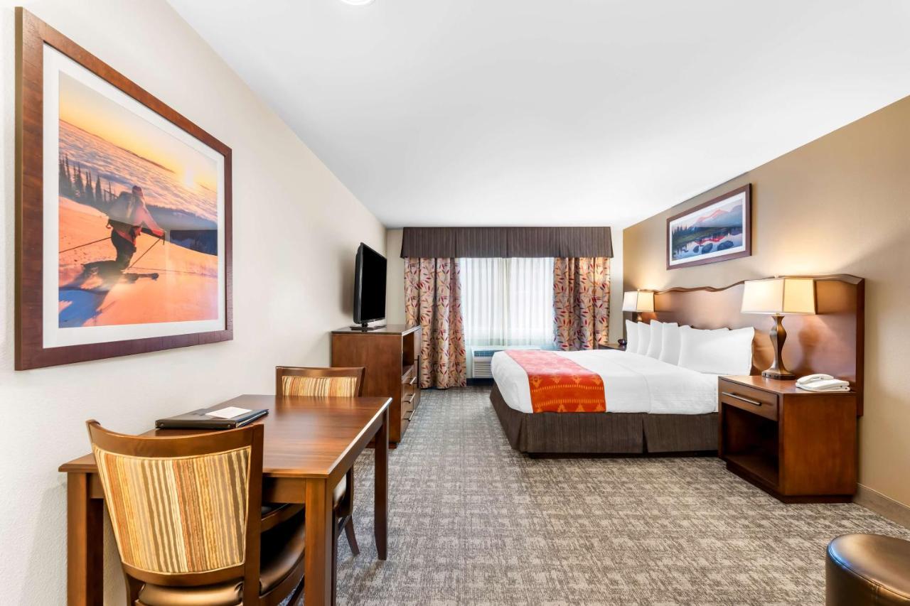 King Room - Pet Friendly at Best Western Rocky Mountain Lodge