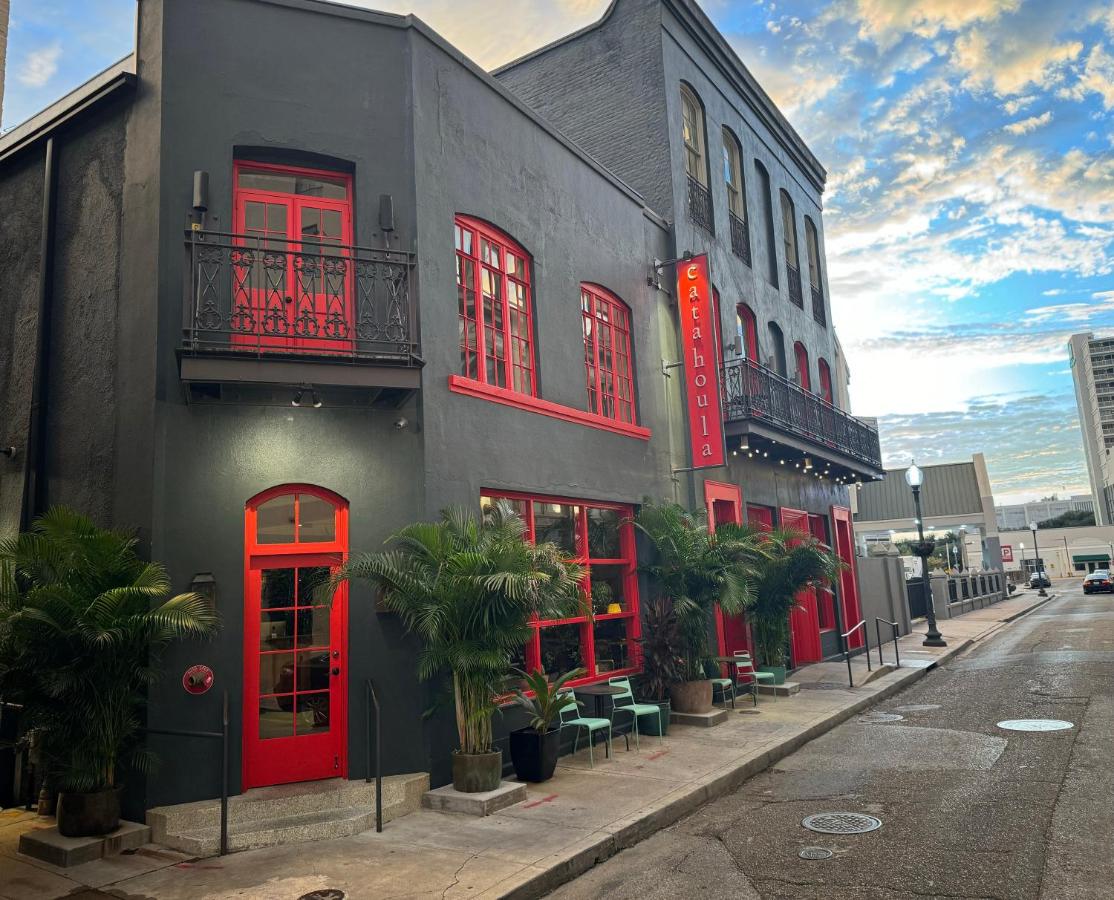  | Selina Catahoula New Orleans