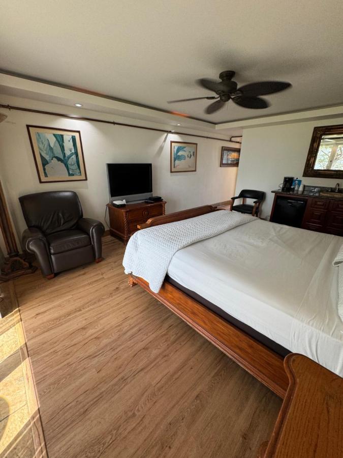 King Room - Ocean Front at Hotel Coral Reef
