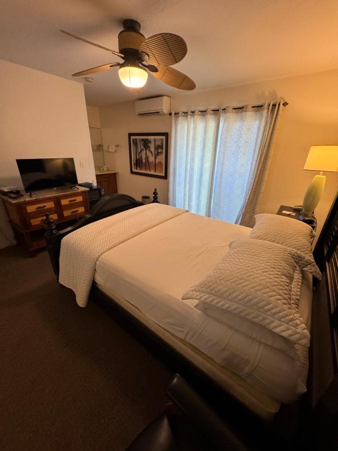 Economy Queen Room with City View at Hotel Coral Reef
