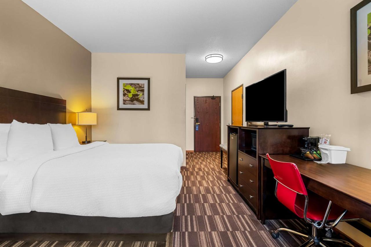 King Room - Non-Smoking at Best Western University Inn