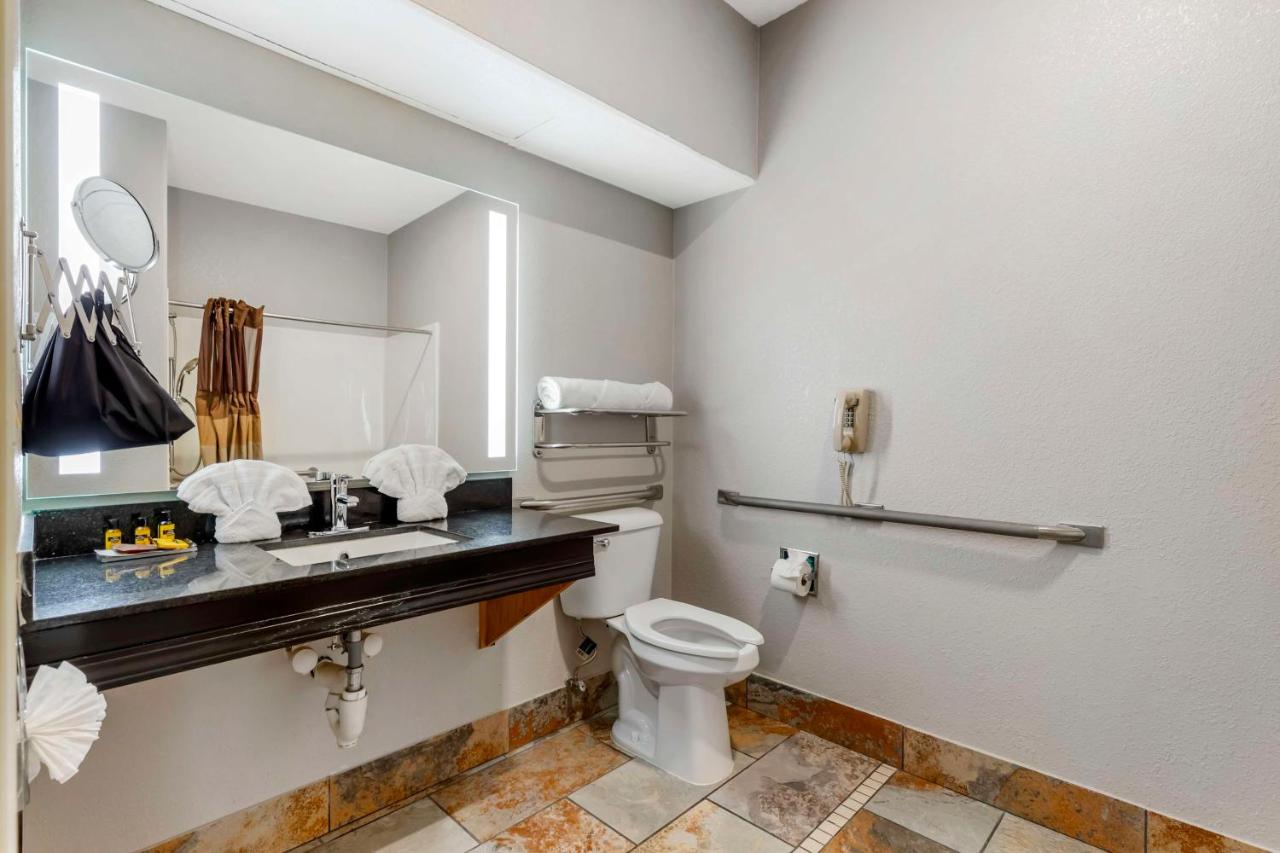 King Room with Roll-in Shower - Disability Access - Non smoking at Best Western Plus Des Moines West Inn & Suites