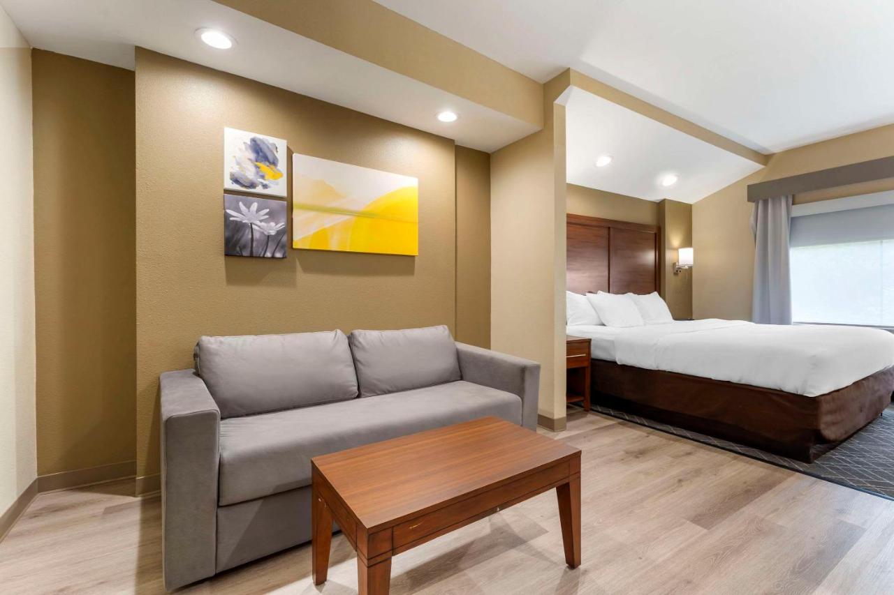 King Suite at Comfort Suites Monaca