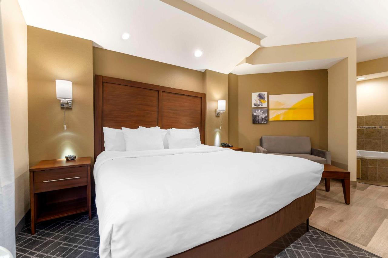 Standard King Suite - Non-Smoking at Comfort Suites Monaca