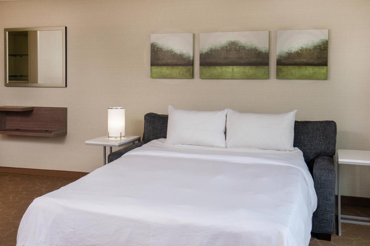 King Studio with Sofa Bed at Delta Hotels by Marriott Chesapeake Norfolk