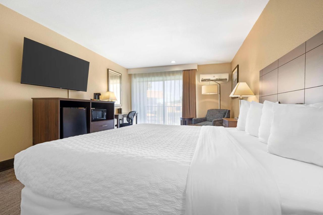 King Room - Non-Smoking at Best Western Oceanside Inn