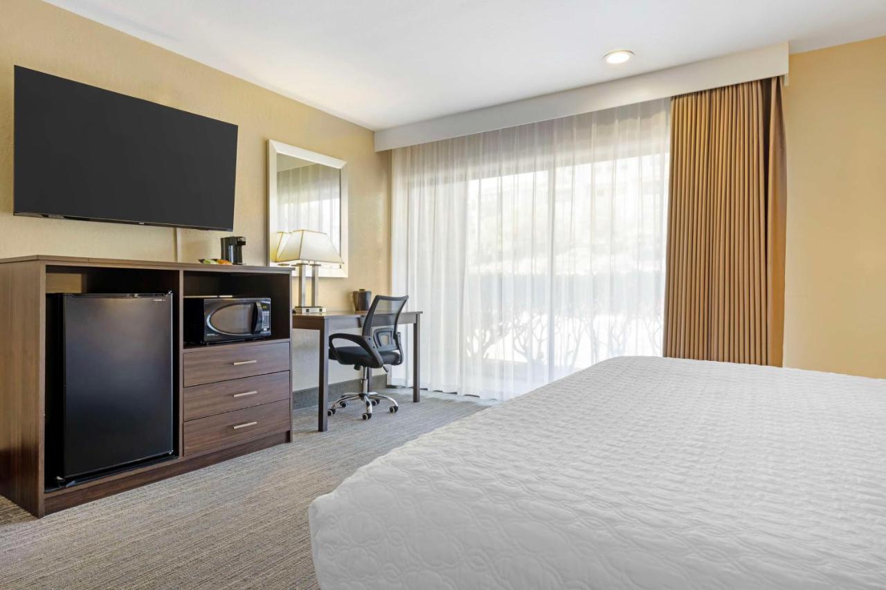 King Room with Roll In Shower - Disability Access - Non Smoking at Best Western Oceanside Inn
