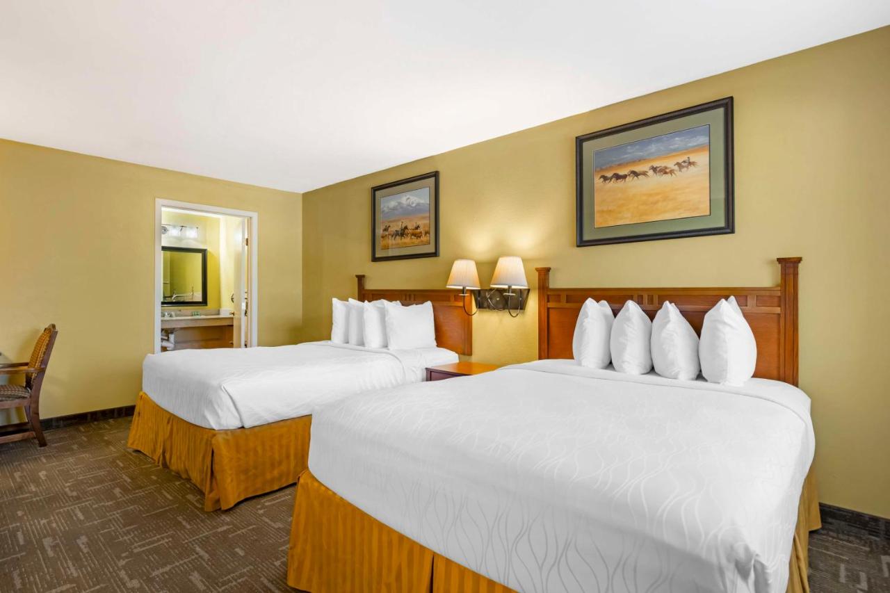 | Best Western Executive Inn