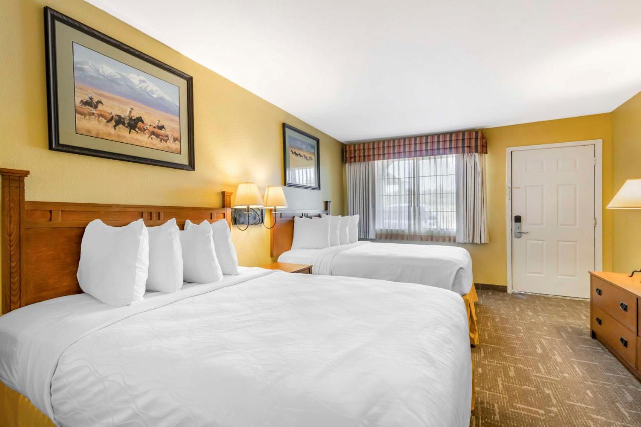 | Best Western Executive Inn