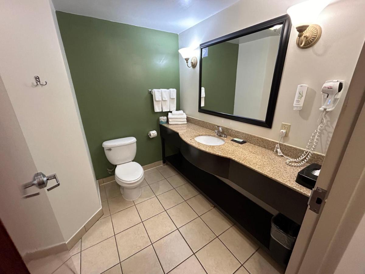 King Suite - Non-Smoking at Sleep Inn & Suites Manchester near Arnold AFB