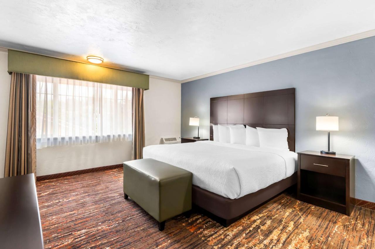 Larger King Room with Single Sofa Bed at Best Western Plus Parkway Inn