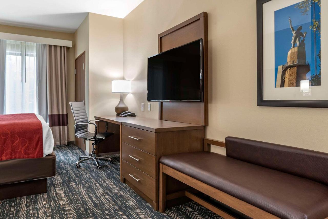 King Suite with Sofa Bed - Non-Smoking at Comfort Inn & Suites Downtown near University