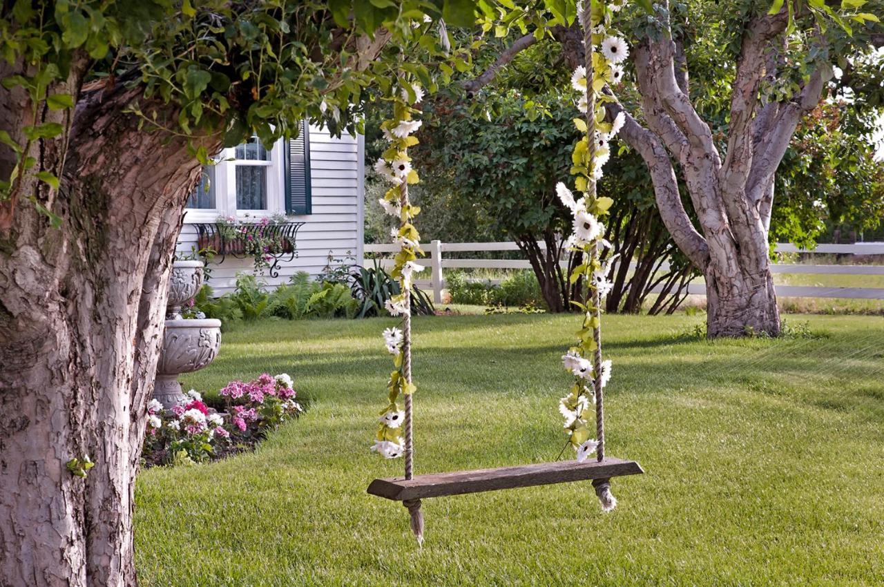 | Cozy Rose Inn