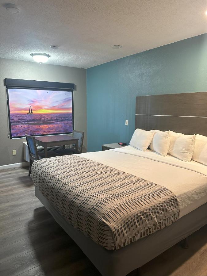 Large Single Room at Hotel Palmeras Chula Vista